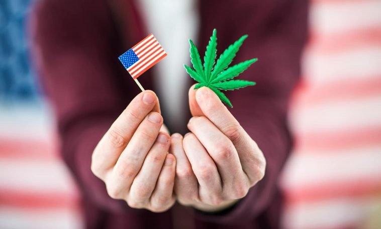 The Best Tweets Celebrating Marijuana's 2020 Election Victories The Best Tweets Celebrating Marijuana's 2020 Election Victories