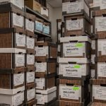 Oregon Decriminalizes Small Amounts of Heroin and Cocaine; Four States Legalize Marijuana