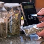 More Legal Marijuana Equals Less Crime? Not So Fast