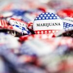 Here's What’s At Stake For Marijuana Legalization In The 2020 Election