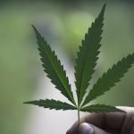 This Is How To Know When It Might Be Time To Lay Off Marijuana