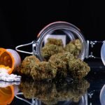 Cannabis And Pain Management: Is Alternative Plant Medicine Becoming The New Norm?