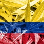 Si a la Primera No Lo Consigues: Nuevo Intento de Legalización en Colombia