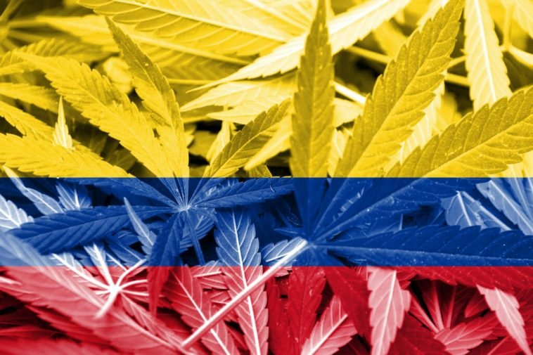 Si a la Primera No Lo Consigues: Nuevo Intento de Legalización en Colombia