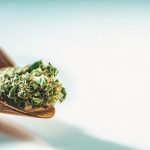 Now That UN Accepts Marijuana, What Excuse Does Congress Have To Uphold Prohibition?