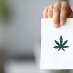 Green Wednesday Cannabis Sales Blow Away Black Friday