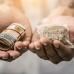 What To Expect When You're Expecting Legal Marijuana