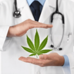 Is CBD A Weight Loss Fad or Does It Work