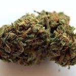 2020: The Top Movers And Shakers In Cannabis