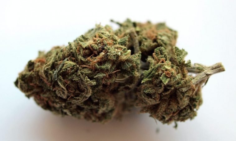 2020: The Top Movers And Shakers In Cannabis