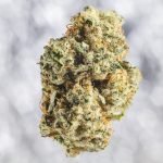 A Deeper Dive Ahead Of A Key Day In Congress For Cannabis