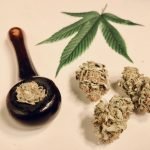 A Guide To Buying Your First Marijuana Smoking Piece