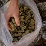 House Passes Landmark Bill Decriminalizing Marijuana