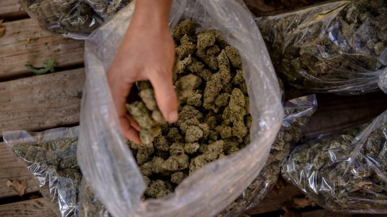 House Passes Landmark Bill Decriminalizing Marijuana