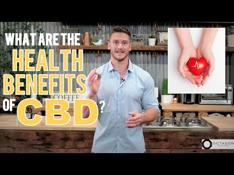 What are the Health Benefits of CBD? Why Everyone Should Be Using CBD Oil – Thomas Delauer