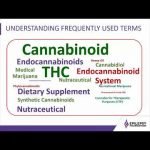 Cannabidiol and Epilepsy: An FDA Approved Therapy