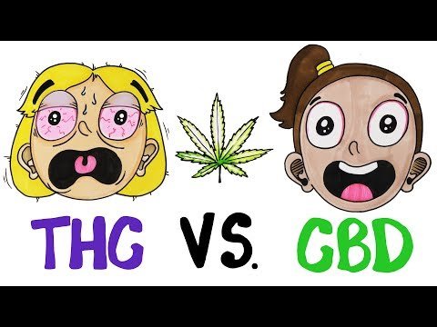 THC vs CBD: What’s In Your Weed?