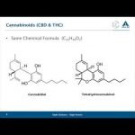 Cannabidiol (CBD) in Supplement Products