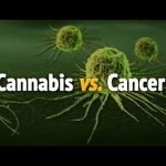 Cannabinoids As Antitumoral Agents (2015)