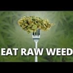 Let’s Get Raw! Video Compilation of the Benifits of Raw Cannabis