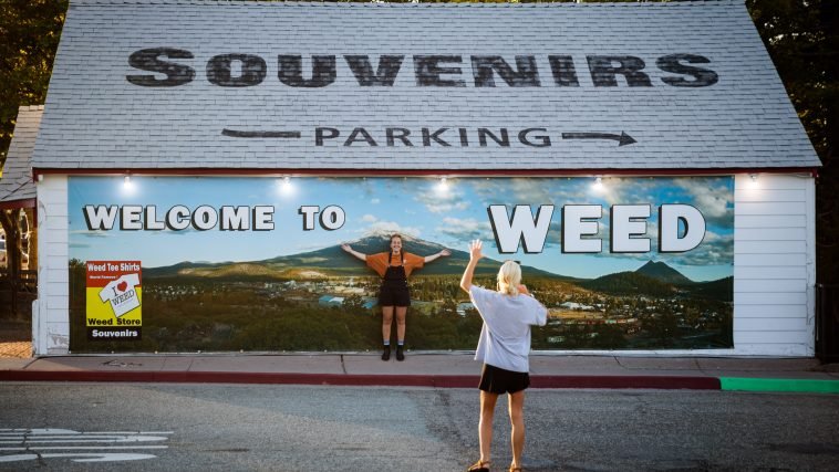 No Longer the ‘Devil’s Lettuce’: How the Town of Weed Embraced Weed