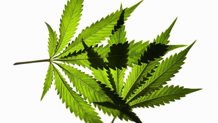 Can Marijuana Make You a Better Athlete?