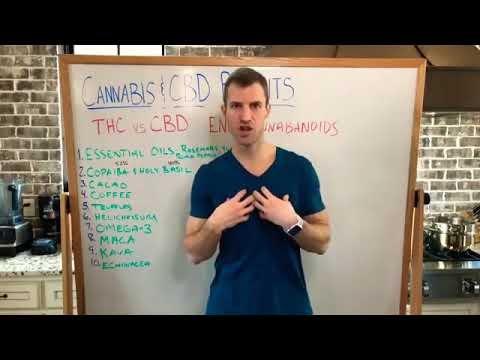 Dr Axe Benefits AND Side effects of CBD Oil!!