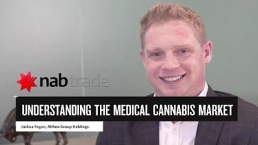 Understanding the medicinal cannabis market