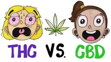 THC vs CBD: What’s In Your Weed?
