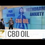 How CBD Oil Impacts the Body How CBD Oil Impacts the Body