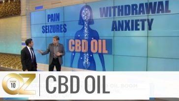 How CBD Oil Impacts the Body