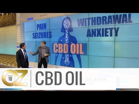 How CBD Oil Impacts the Body