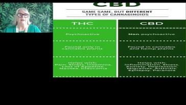 The Efficacy of High CBD Low THC for Better Outcomes in Medical Marijuana