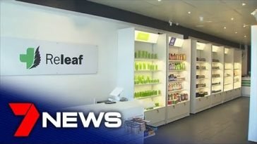 New medicinal cannabis clinic to open in St Kilda | 7NEWS
