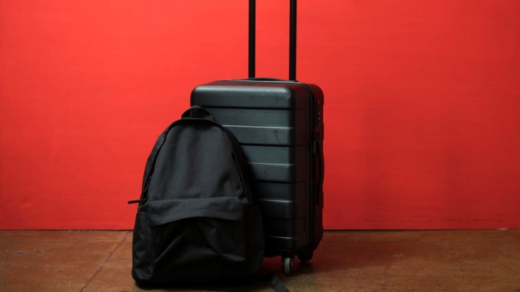 Vibrators, Weed, Plants: What Can You Take on a Plane? Vibrators, Weed, Plants: What Can You Take on a Plane?