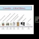 The Science of Medical Cannabis for Arthritis