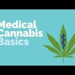 Medical Cannabis Basics | Gastrointestinal Society