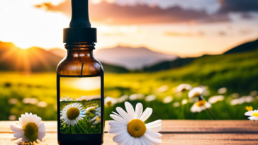 CBD: Your Solution for Soothing Inflammation Naturally
