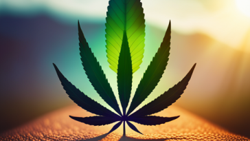 CBD vs THC: Unraveling the Legal Variances