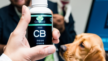 How to Safely Adjust CBD Dosage for Pets: A Complete Guide