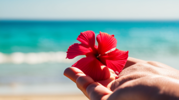 Unlock the Power of CBD for Skin Conditions