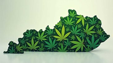 Kentucky’s Cannabis Shift: Local Votes Signal Change Amid National Setbacks